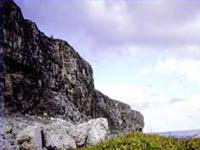 Brac-Bluffs.jpg